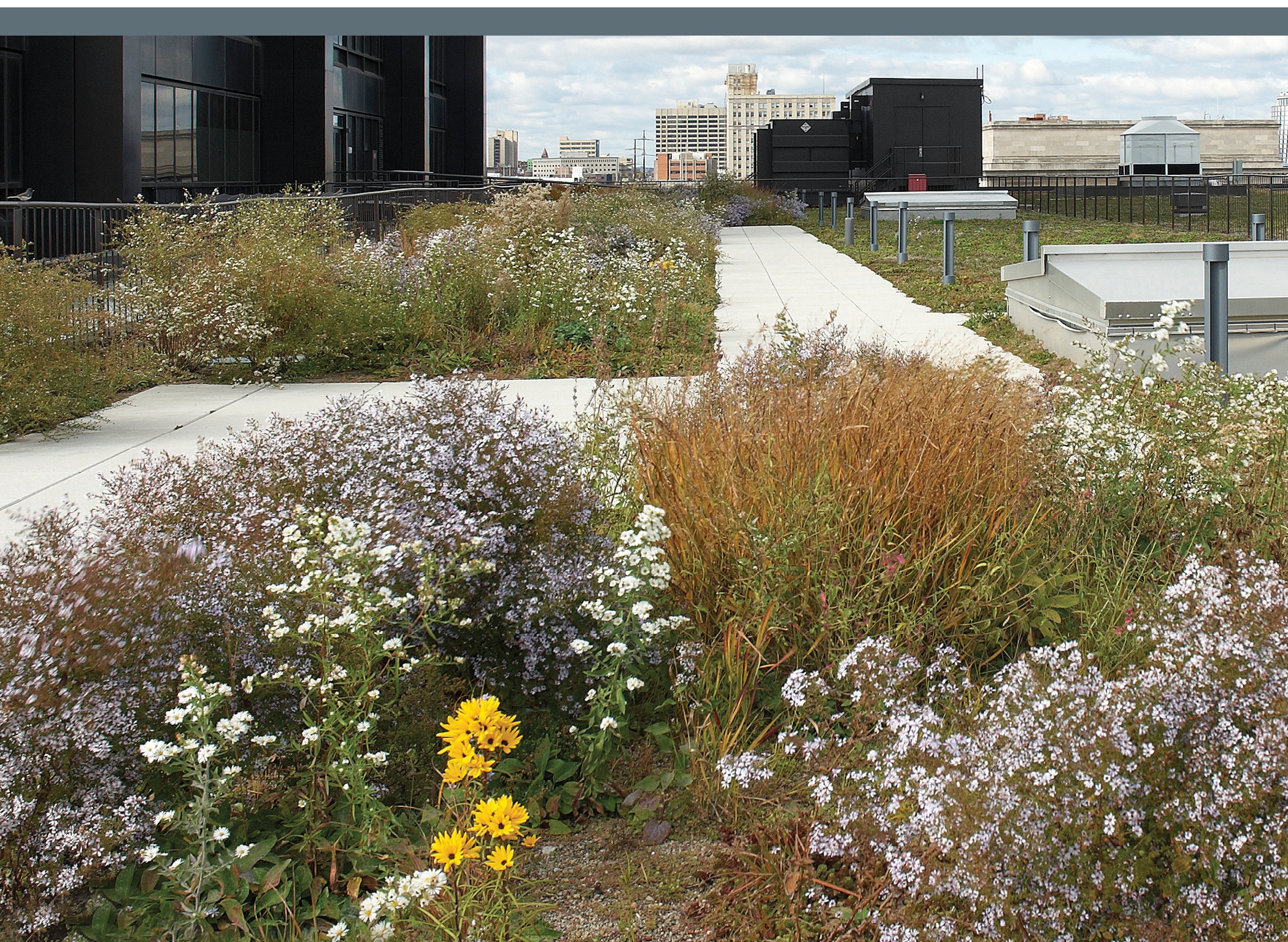 The Guide to Greening Cities U.S. Green Building Council